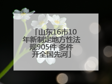 山东16市10年新制定地方性法规905件 多件开全国先河