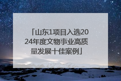 山东1项目入选2024年度文物事业高质量发展十佳案例