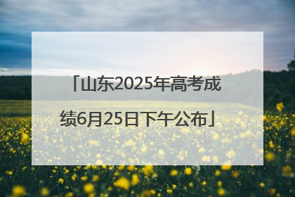 山东2025年高考成绩6月25日下午公布