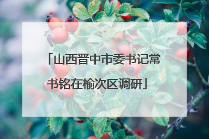 山西晋中市委书记常书铭在榆次区调研