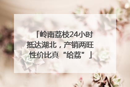 岭南荔枝24小时抵达湖北，产销两旺性价比真“给荔”