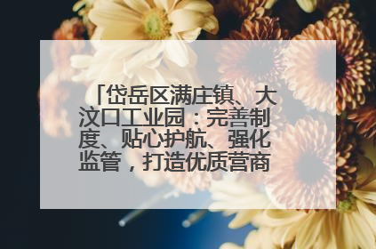 岱岳区满庄镇、大汶口工业园：完善制度、贴心护航、强化监管，打造优质营商“强磁场”