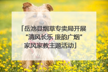 岳池县烟草专卖局开展“清风长乐 廉韵广烟”家风家教主题活动