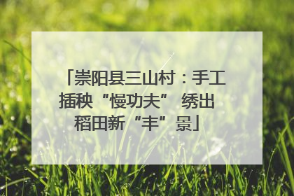 崇阳县三山村：手工插秧“慢功夫” 绣出稻田新“丰”景