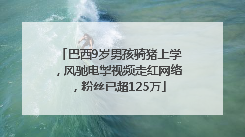 巴西9岁男孩骑猪上学，风驰电掣视频走红网络，粉丝已超125万