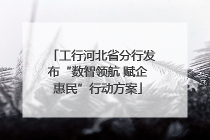 工行河北省分行发布“数智领航 赋企惠民”行动方案
