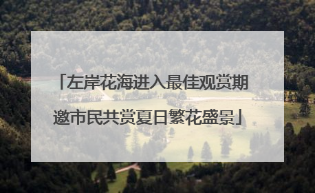 左岸花海进入最佳观赏期 邀市民共赏夏日繁花盛景