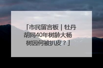 市民留言板｜牡丹胡同40年树龄大杨树因何被扒皮？