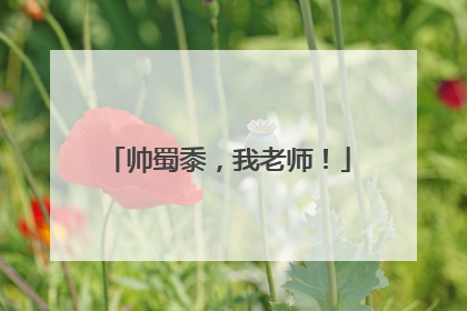帅蜀黍，我老师！