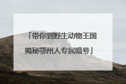 带你到野生动物王国揭秘鄂州人专属暗号
