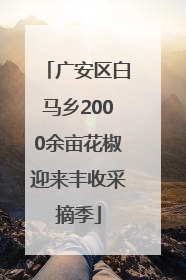 广安区白马乡2000余亩花椒迎来丰收采摘季