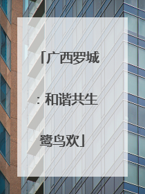 广西罗城：和谐共生鹭鸟欢