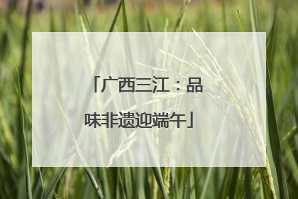 广西三江：品味非遗迎端午