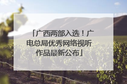 广西两部入选！广电总局优秀网络视听作品最新公布