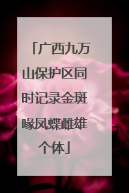 广西九万山保护区同时记录金斑喙凤蝶雌雄个体