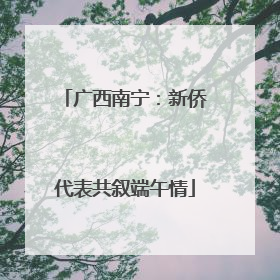 广西南宁：新侨代表共叙端午情