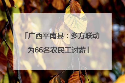 广西平南县：多方联动为66名农民工讨薪