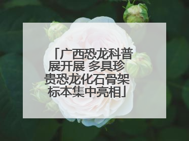 广西恐龙科普展开展 多具珍贵恐龙化石骨架标本集中亮相