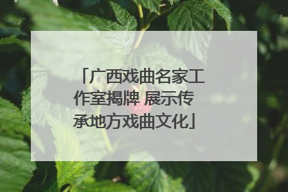 广西戏曲名家工作室揭牌 展示传承地方戏曲文化