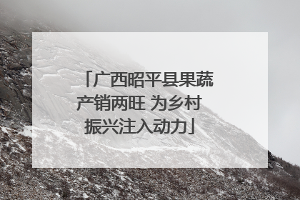 广西昭平县果蔬产销两旺 为乡村振兴注入动力