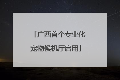 广西首个专业化宠物候机厅启用