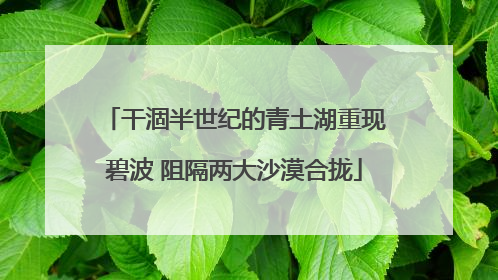 干涸半世纪的青土湖重现碧波 阻隔两大沙漠合拢