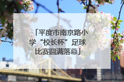 平度市南京路小学“校长杯”足球比赛圆满落幕