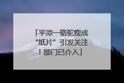 平潭一骆驼瘦成“纸片”引发关注！部门已介入