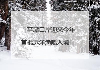 平潭口岸迎来今年首批远洋渔船入境