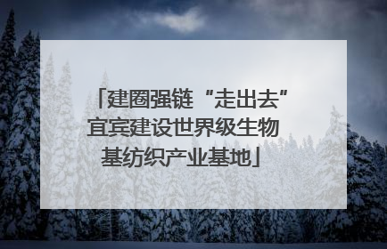 建圈强链“走出去” 宜宾建设世界级生物基纺织产业基地