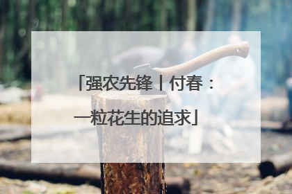 强农先锋丨付春：一粒花生的追求