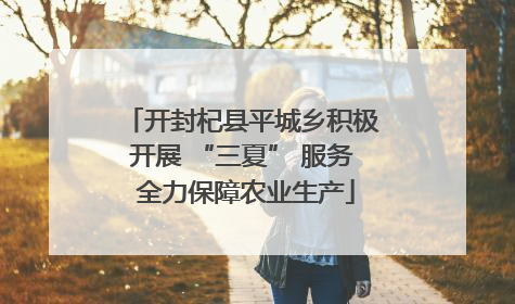 开封杞县平城乡积极开展 “三夏” 服务 全力保障农业生产