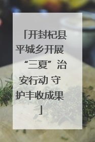 开封杞县平城乡开展“三夏”治安行动 守护丰收成果