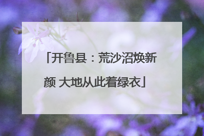 开鲁县：荒沙沼焕新颜 大地从此着绿衣