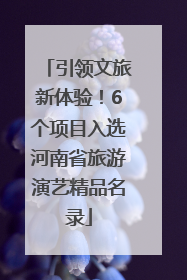 引领文旅新体验！6个项目入选河南省旅游演艺精品名录