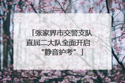 张家界市交警支队直属二大队全面开启“静音护考”