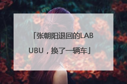 张朝阳退回的LABUBU，换了一辆车
