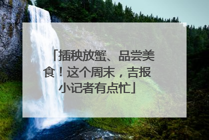 插秧放蟹、品尝美食！这个周末，吉报小记者有点忙