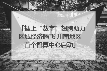 插上“数字”翅膀助力区域经济腾飞 川南地区首个智算中心启动