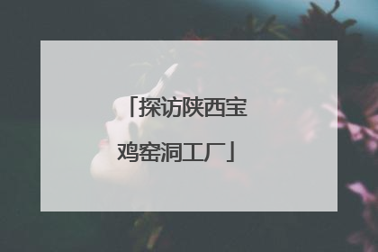 探访陕西宝鸡窑洞工厂