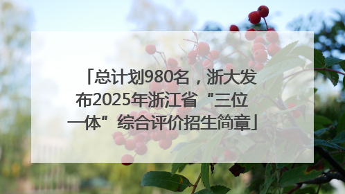 总计划980名，浙大发布2025年浙江省“三位一体”综合评价招生简章