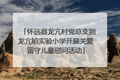 怀远县龙亢村党总支到龙亢镇实验小学开展关爱留守儿童慰问活动