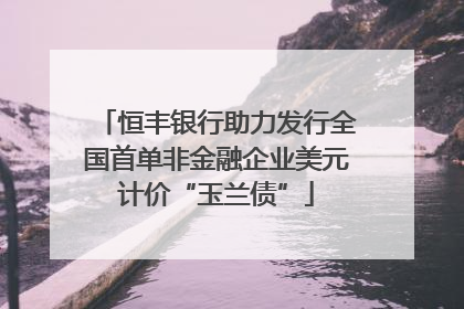 恒丰银行助力发行全国首单非金融企业美元计价“玉兰债”