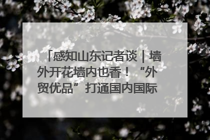 感知山东记者谈｜墙外开花墙内也香！“外贸优品”打通国内国际市场“旋转门”