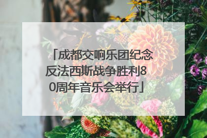 成都交响乐团纪念反法西斯战争胜利80周年音乐会举行