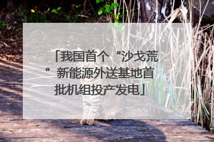 我国首个“沙戈荒”新能源外送基地首批机组投产发电