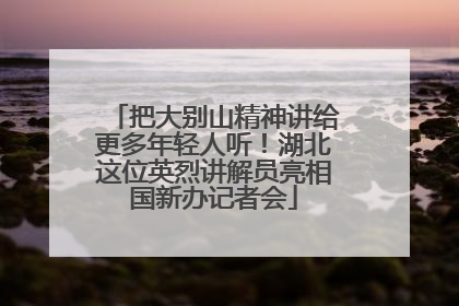 把大别山精神讲给更多年轻人听！湖北这位英烈讲解员亮相国新办记者会