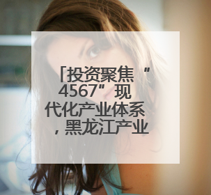 投资聚焦“4567”现代化产业体系，黑龙江产业换新景