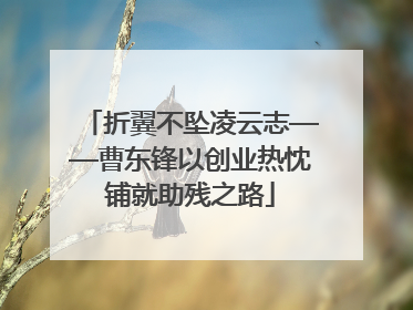 折翼不坠凌云志——曹东锋以创业热忱铺就助残之路