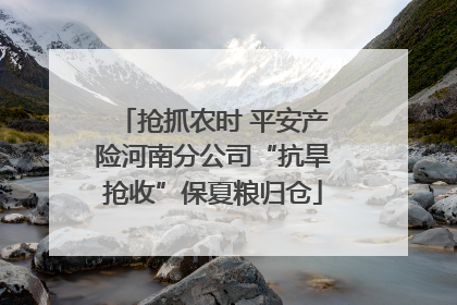 抢抓农时 平安产险河南分公司“抗旱抢收”保夏粮归仓